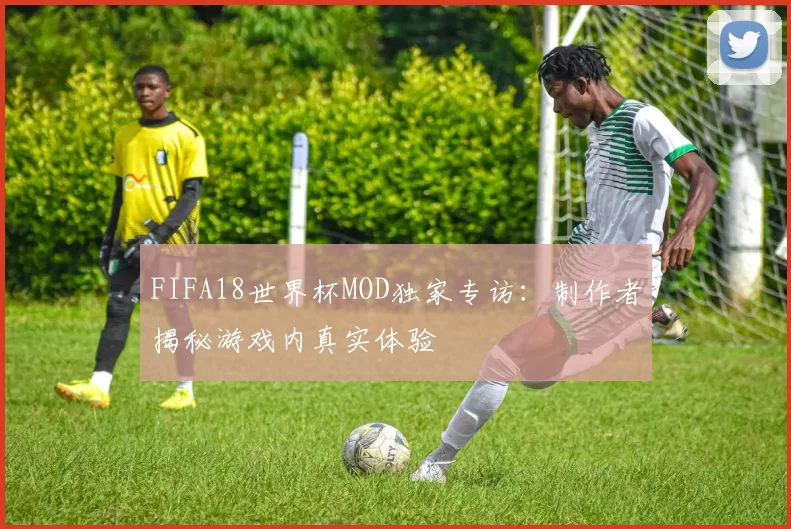 FIFA18世界杯MOD独家专访：制作者揭秘游戏内真实体验