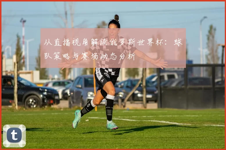 从直播视角解读俄罗斯世界杯：球队策略与赛场动态分析