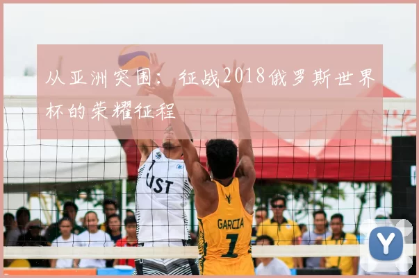 从亚洲突围：征战2018俄罗斯世界杯的荣耀征程