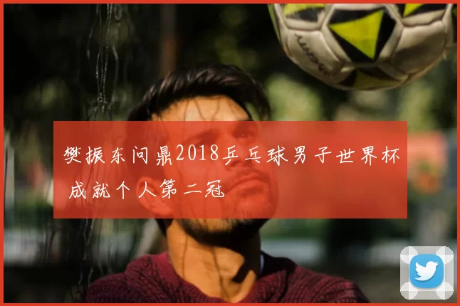 樊振东问鼎2018乒乓球男子世界杯 成就个人第二冠