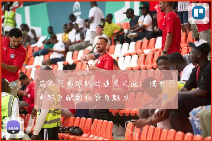 武汉羽毛球队的速度之谜:揭开羽毛球巨献的秘密与魅力