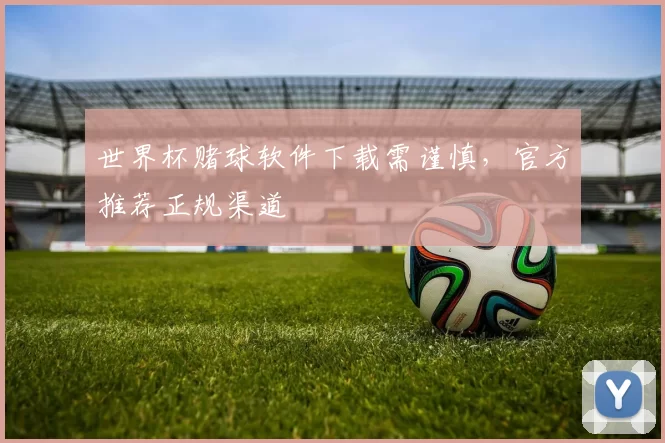 世界杯赌球软件下载需谨慎，官方推荐正规渠道