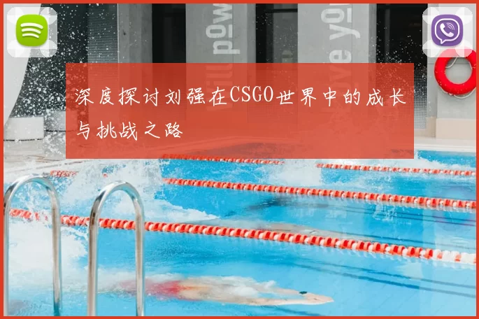 深度探讨刘强在CSGO世界中的成长与挑战之路