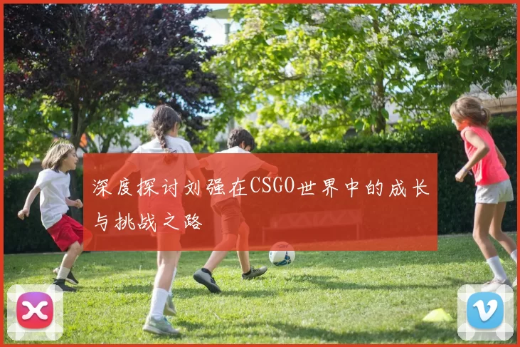 深度探讨刘强在CSGO世界中的成长与挑战之路