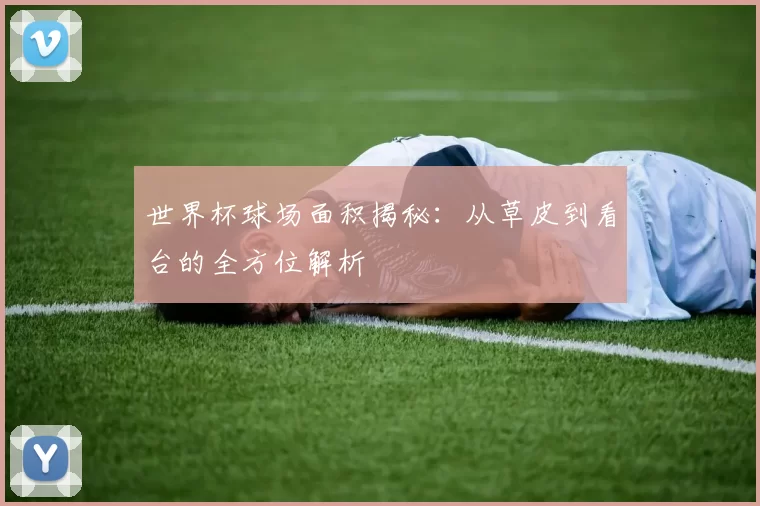 世界杯球场面积揭秘：从草皮到看台的全方位解析