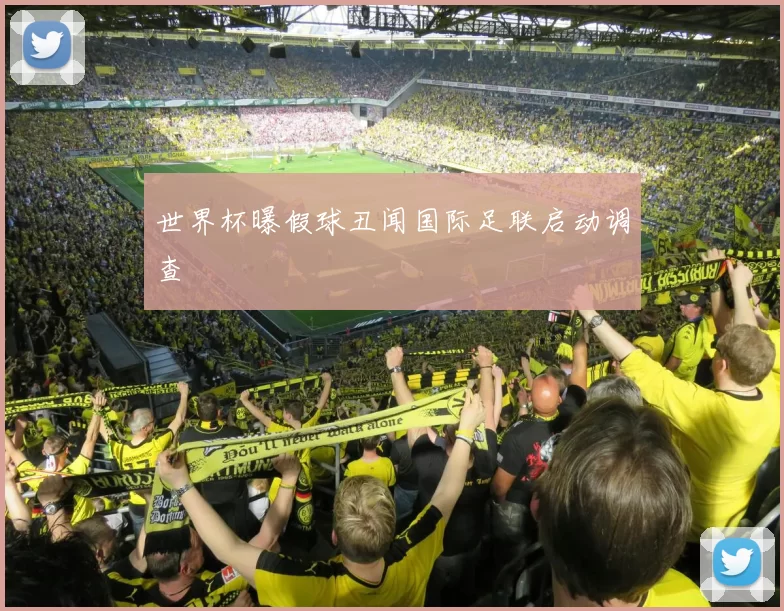 世界杯曝假球丑闻国际足联启动调查