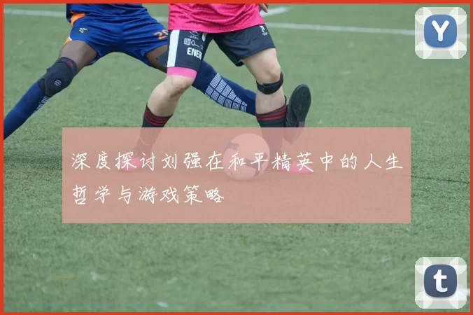 深度探讨刘强在和平精英中的人生哲学与游戏策略